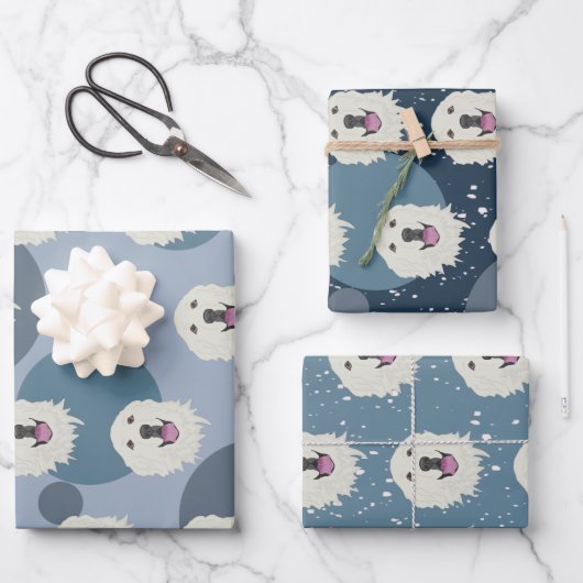 Feuille De Papier Cadeau Les Pyrénées (Recto)