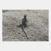Feuille De Papier Cadeau Lézard noir (Devant 3)