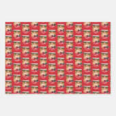 Feuille De Papier Cadeau Licence de l'Université d'État de Jacksonville (Devant 3)