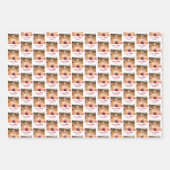 Feuille De Papier Cadeau Licence de l'Université d'État de Jacksonville (Devant 2)