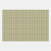 Feuille De Papier Cadeau Lime Green Plaid Classic Pattern Retro (Devant 3)