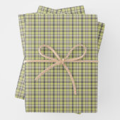 Feuille De Papier Cadeau Lime Green Plaid Classic Pattern Retro (En situation)