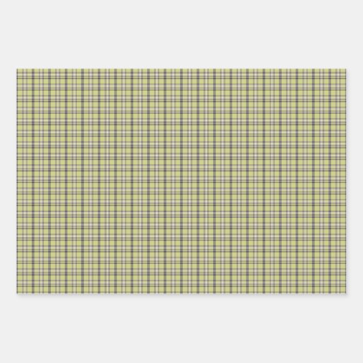 Feuille De Papier Cadeau Lime Green Plaid Classic Pattern Retro (Devant)