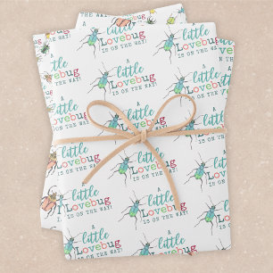 Feuille De Papier Cadeau Little Love Bug sur le chemin Baby shower