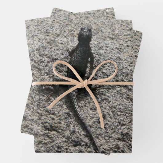 Feuille De Papier Cadeau Lizard noir (En situation)
