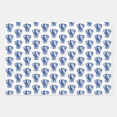 Feuille De Papier Cadeau Logo Eastern Illinois University Panthers (Devant 2)