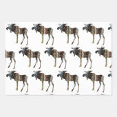 Feuille De Papier Cadeau L'orignal en liberté (Devant 2)