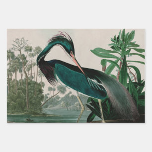 Feuille De Papier Cadeau Louisiana Heron Birds of America Audubon Imprimer