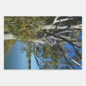 Feuille De Papier Cadeau L'Ours De Koala Dormait Dans Un Arbre De Gomme, (Devant 3)