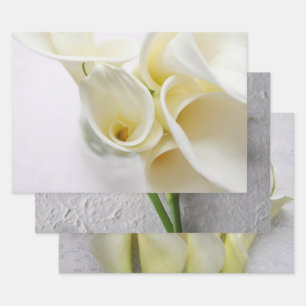 Feuille De Papier Cadeau Lys calla frais