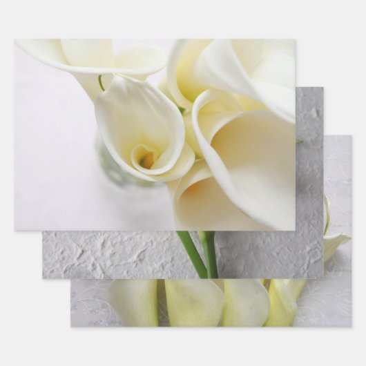 Feuille De Papier Cadeau Lys calla frais (Lot)