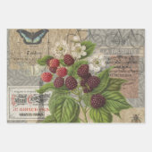 Feuille De Papier Cadeau Macaw Blue Jaune Tropical Jungle Antique (Devant 3)