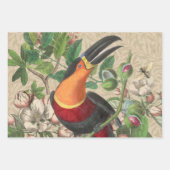 Feuille De Papier Cadeau Macaw Blue Jaune Tropical Jungle Antique (Devant 2)