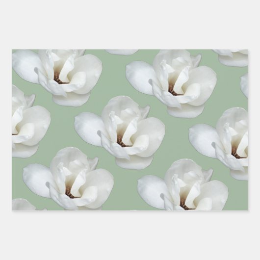 Feuille De Papier Cadeau Magnolia sur vert (Devant)