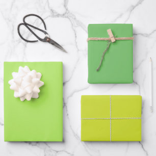 Feuille De Papier Cadeau Mante religieuse pouce plat Tons 3 verts poire