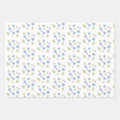 Feuille De Papier Cadeau Marguerites délicates (Devant)