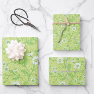 Feuille De Papier Cadeau Marguerites en blanc et vert sur fond vert miel