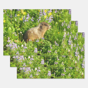 Feuille De Papier Cadeau Marmotte dans les fleurs sauvages du mont Rainier