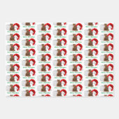 Feuille De Papier Cadeau Matte de Noël 19" x 29" (Devant 3)