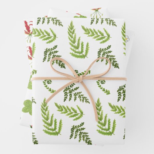 Feuille De Papier Cadeau Mélange de forêts (En situation)