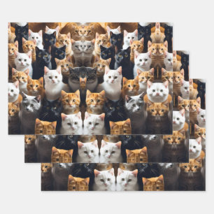Feuille De Papier Cadeau Meow