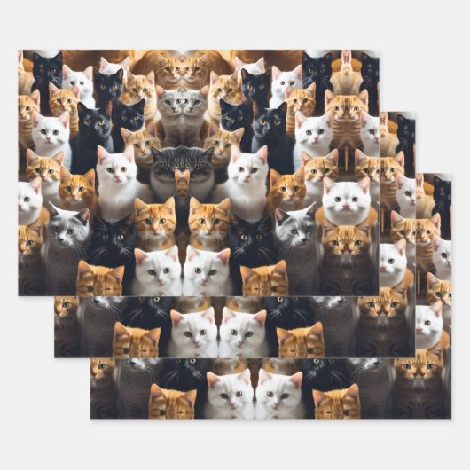 Feuille De Papier Cadeau Meow (Lot)