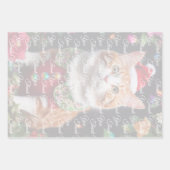 Feuille De Papier Cadeau Meowy (Devant 2)