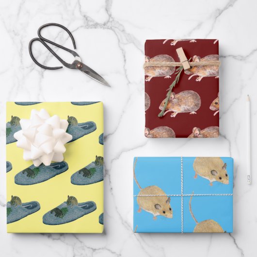 Feuille De Papier Cadeau Mice (Recto)