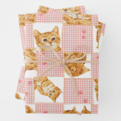 Feuille De Papier Cadeau mignon tabby chat plaid patchwork rose motif (En situation)