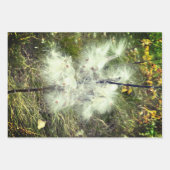 Feuille De Papier Cadeau Milkweed | Papillon | (Devant 2)