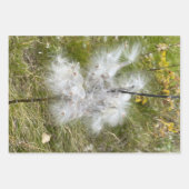 Feuille De Papier Cadeau Milkweed | Papillon | (Devant)