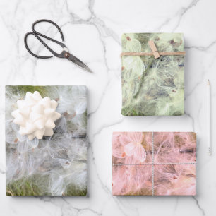 Feuille De Papier Cadeau Milkweed   Papillon  