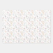 Feuille De Papier Cadeau Minimalist Meadowcore Neutral Wildflowers Pattern (Devant 2)