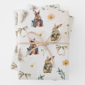 Feuille De Papier Cadeau Mister Whimsy Spring Bunny (En situation)