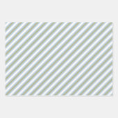 Feuille De Papier Cadeau Mistletoe Grandes Bleu Vert (Devant 2)