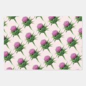 Feuille De Papier Cadeau Modèle Floral de chardon pourpre (Devant 3)