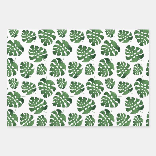 Feuille De Papier Cadeau Monstera (Devant)