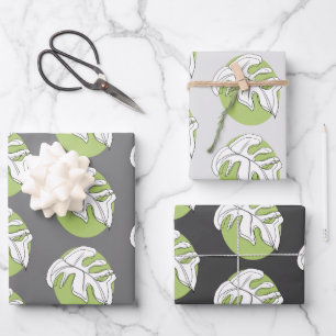 Feuille De Papier Cadeau Monstera Leaf Plante Abstrait Illustration Grey