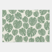 Feuille De Papier Cadeau Monstera - Vert (Devant 3)