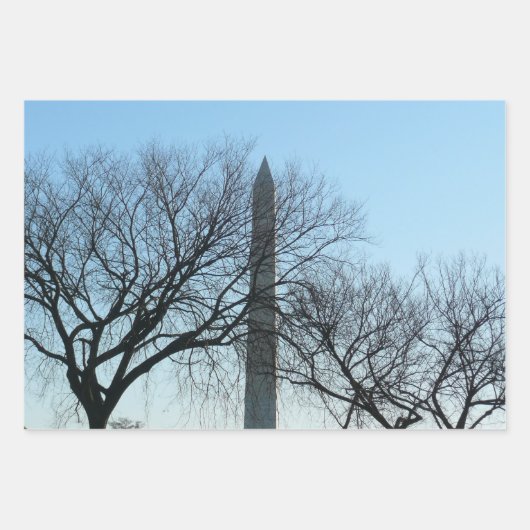 Feuille De Papier Cadeau Monument de Washington dans le paysage d'hiver I (Devant 2)
