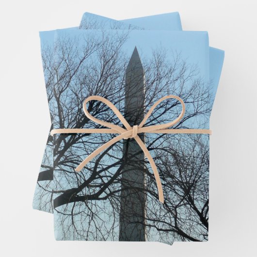 Feuille De Papier Cadeau Monument de Washington dans le paysage d'hiver I (En situation)