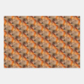 Feuille De Papier Cadeau Motif animal chat de Siamese (Devant)