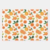 Feuille De Papier Cadeau Motif botanique d'agrumes orange (Devant 3)