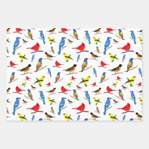 Feuille De Papier Cadeau Motif coloré des oiseaux d'Amérique du Nord