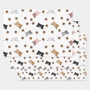 Feuille De Papier Cadeau Motif de chat, Visages et Empreintes de pattes Kit