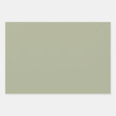 Feuille De Papier Cadeau Motif de feuillage blanc blanc Sage Green (Devant 3)