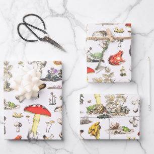 Feuille De Papier Cadeau Motif de la Forêt d'escargots de grenouille