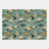 Feuille De Papier Cadeau Motif de la tortue no6 (Devant)