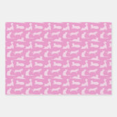 Feuille De Papier Cadeau Motif de pattes de chat (Devant)