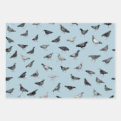 Feuille De Papier Cadeau Motif de pigeon (Devant)
